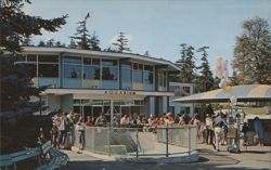 Point Defiance Park Aquarium, Tacoma, Washington Postcard