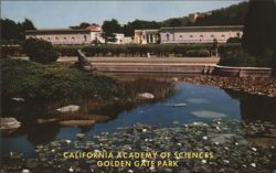 California Academy of Sciences, Golden Gate Park Postcard