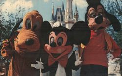 Mickey Mouse, Pluto, Goofy, Cinderella Castle, Walt Disney World Postcard