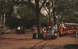 ZOO LINE RAILROAD Forest Park, St. Louis Postcard