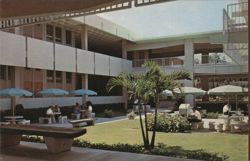 Florida Atlantic University Patio Postcard