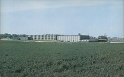Pella Community High School, completed 1962 Postcard