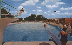 Community Swimming Pool, Diving Board Action Postcard