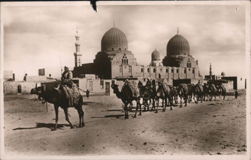 Camels and Tombs of the Caliphs, Cairo Egypt Africa