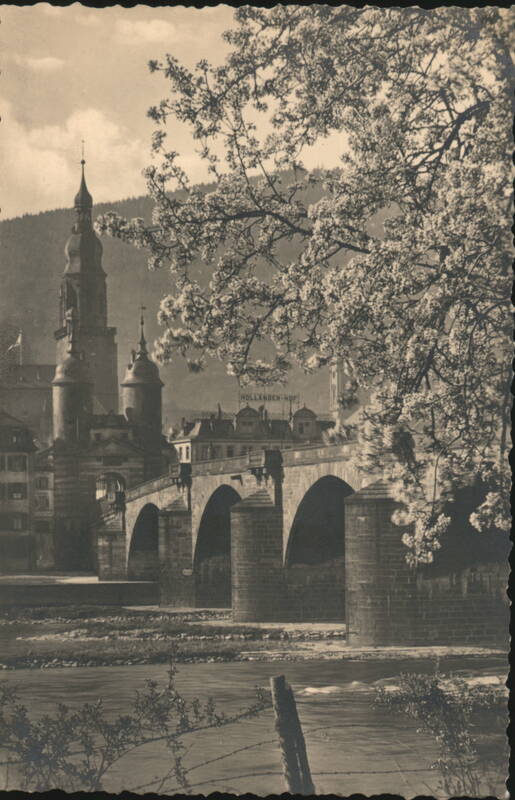 Heidelberg Old Bridge with Blooming Trees Germany
