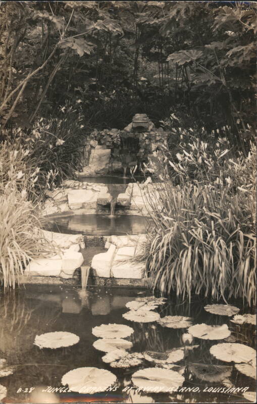 Jungle Gardens Waterfall & Lily Pond, Avery Island Louisiana