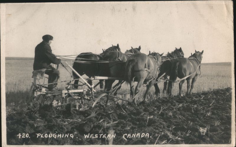 Ploughing, Western Canada BYRON HARMON Misc. Canada