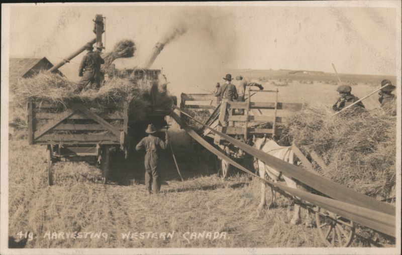Harvesting Western Canada Threshing Crew 410 Byron Harmon