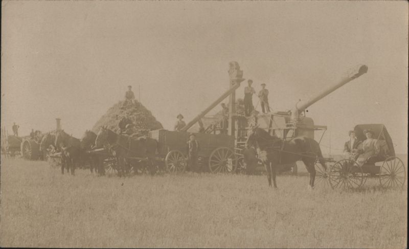 Harvest Threshing Crew, Machinery, Horses, Buggy, Field
