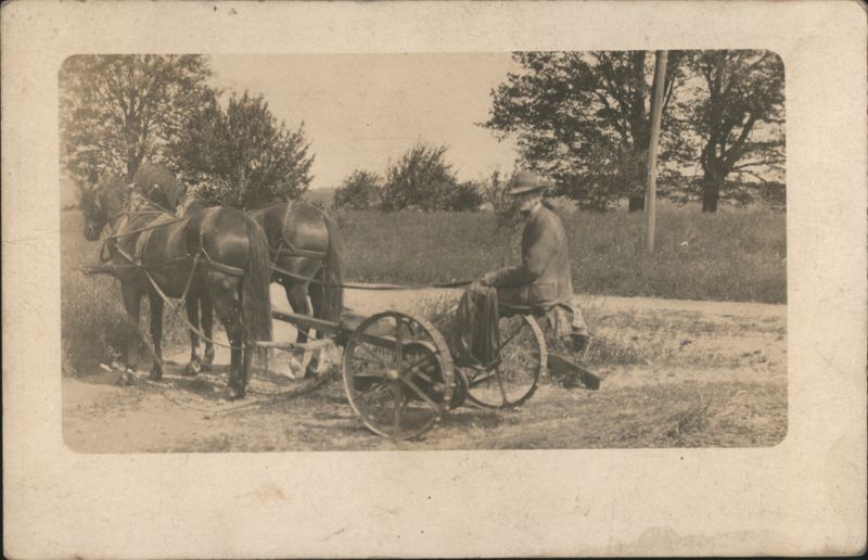 Man Driving Two-Horse Cart in Rural Field Farming