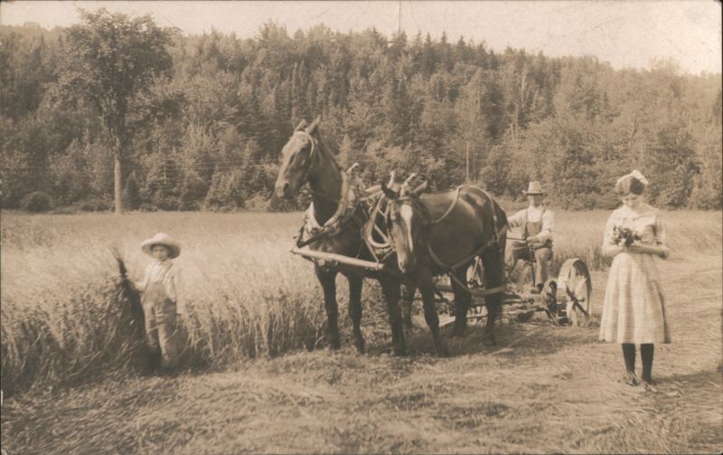 Family Hay Harvest with Horses and Cart, Rural Scene
