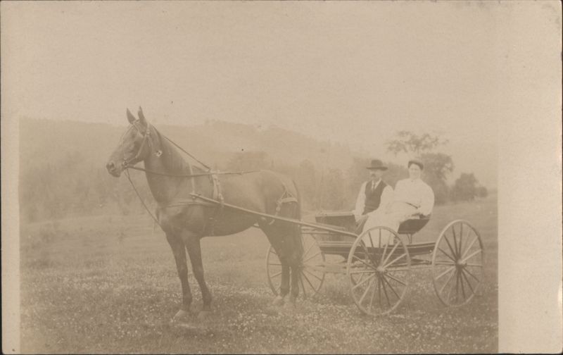 Man & Woman in Horse-Drawn Buggy, Rural Scene