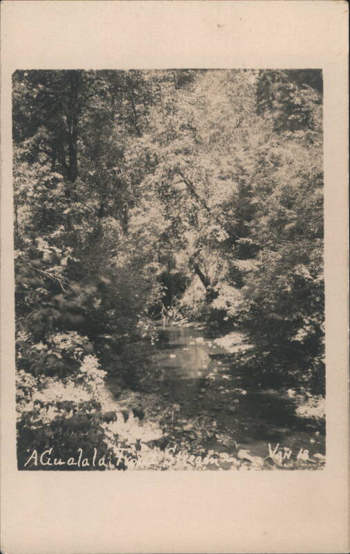 A Gualala Trout Stream, Wooded Landscape California