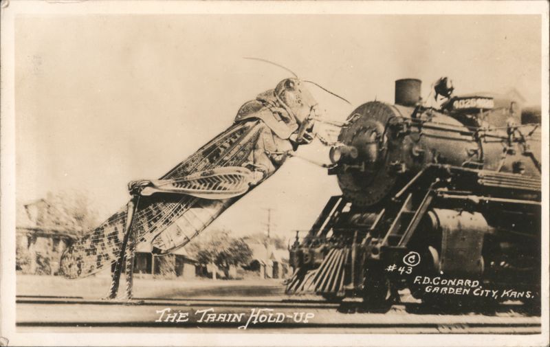 Giant Grasshopper Stops Train - The Train Hold-Up Exaggeration