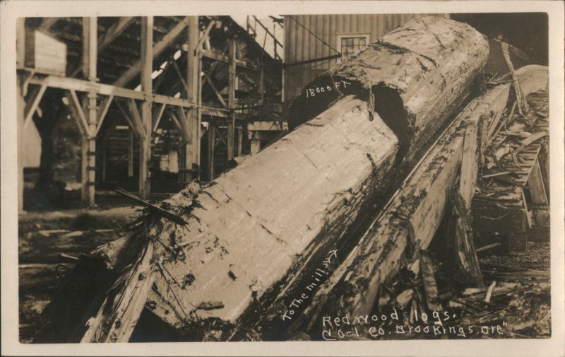 Redwood Logs to Mill, C-L Co. Brookings, OR Oregon