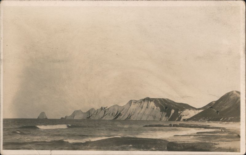 Coastal Cliffs & Gannet Nesting Site, Cape Kidnappers New Zealand
