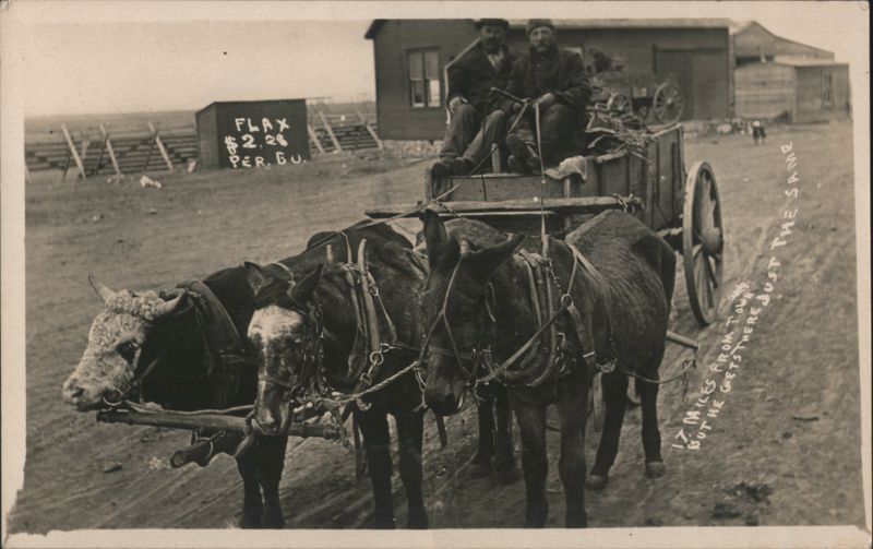 Flax 2.26 Per. Bu., Men in Wagon, 17 Miles from Town Crosby North Dakota