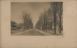 Center Street, Canton PA - Tree-lined Street View Postcard