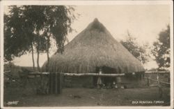 Ruca Araucana, Indigenous Thatched House, Temuco Postcard