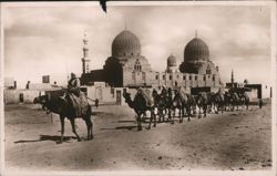Camels and Tombs of the Caliphs, Cairo Postcard