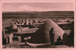 Villages with Conical Houses, Aleppo Surroundings Postcard