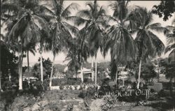 Grand Hotel Olffson, Port-au-Prince, Haiti Postcard