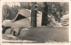 Stock #1140070 Thumbnail