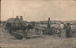 Farm Family Hay Harvest with Horses and Equipment Postcard