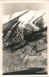 Shemran Snow-Capped Mountains & Trees, Persian Gulf Command Postcard