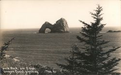 Fish Rock, 231 ft High, Oregon Coast Highway Postcard