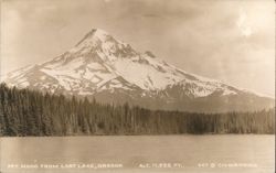 Mt. Hood from Lost Lake, Oregon, Alt. 11,225 Ft. Postcard