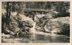 Bridge Creek, Wooden Bridge & Waterfall Postcard