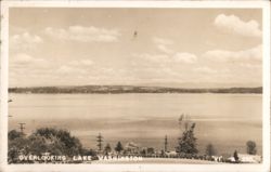 Overlooking Lake Washington Postcard