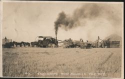 Threshing 4000 Bushels Per Day, Steam Tractor & Crew Postcard