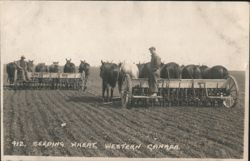 Seeding Wheat, Western Canada Postcard