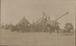 Harvest Threshing Crew, Machinery, Horses, Buggy, Field Postcard