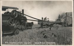 Harvesting Scene, Western Canada Postcard