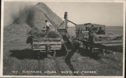 Threshing Scene, Western Canada Postcard
