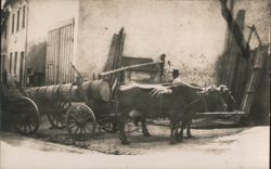 Oxen Pulling Barrel Cart with Men in Street Postcard
