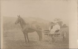 Man & Woman in Horse-Drawn Buggy, Rural Scene Postcard