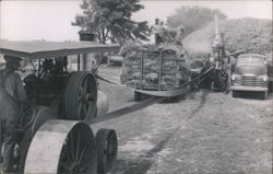 Threshing Machine Farm Scene, Hay Harvest Postcard