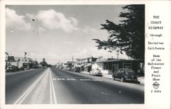 Coast Highway Encinitas CA, Mid-winter Flower & Fruit Show Postcard
