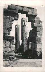Karnak Lotus & Papyrus Columns Postcard