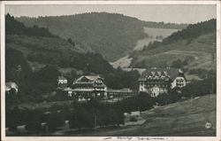 Glotterbad Valley Hotels & Sanatoriums Postcard