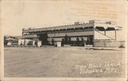 The Race Track Tijuana Mexico Grandstand Postcard