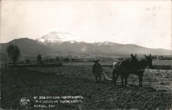 Volcan Popocatepetl, Farmer Plowing with Mules Postcard