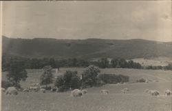 Rural Landscape with Haystacks and Hills Postcard