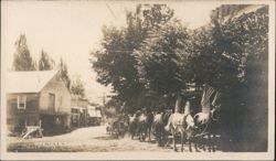 Ore Team Scene, Amador City, CA Postcard