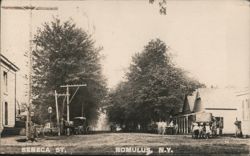 Seneca St. Romulus, NY - Horse-drawn carriages, trees Postcard