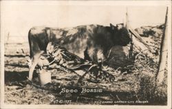So-oo BOSSIE Giant Grasshopper Milking Cow Postcard